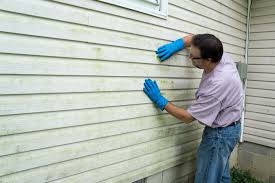 Affordable Siding Repair and Maintenance Services in West Hurley, NY